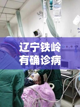 辽宁铁岭有确诊病人吗/辽宁铁岭疫情最新情况 辽宁铁岭有确诊病人吗/辽宁铁岭疫情最新情况