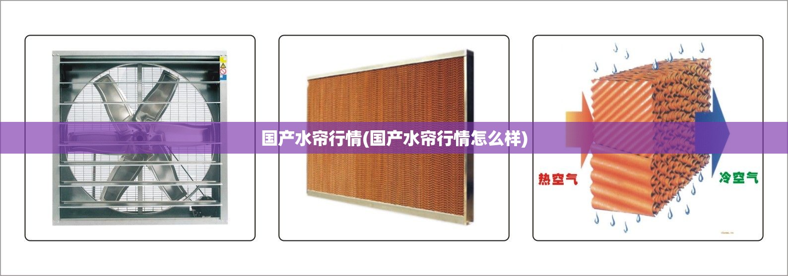 国产水帘行情(国产水帘行情怎么样)