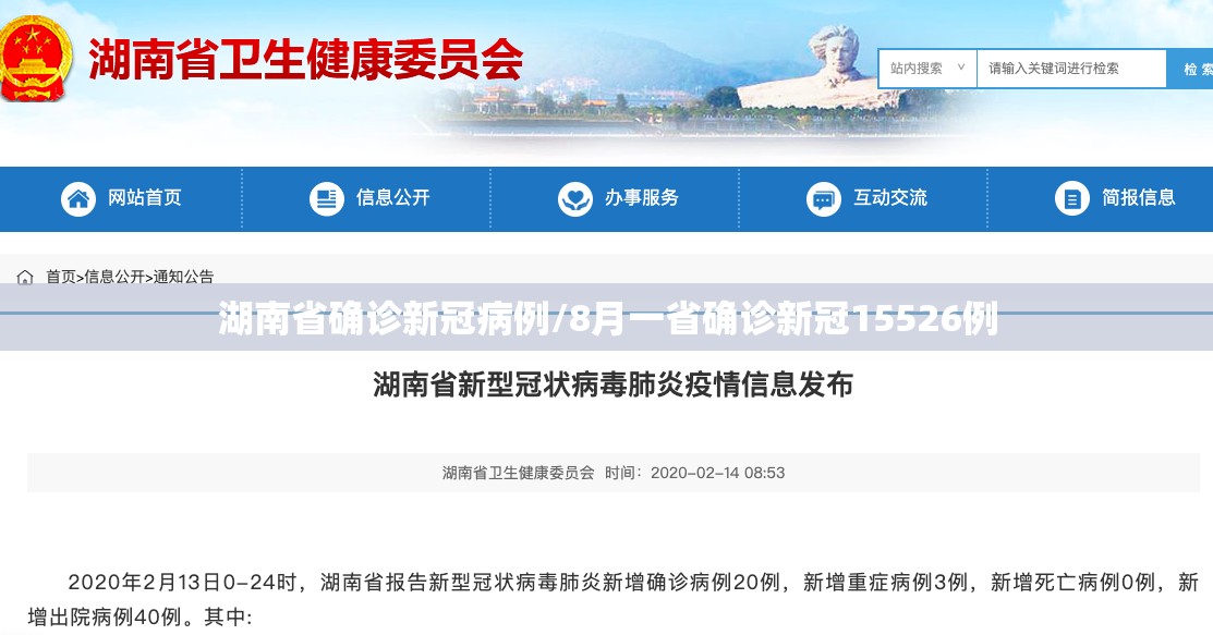 湖南省确诊新冠病例/8月一省确诊新冠15526例 湖南省确诊新冠病例/8月一省确诊新冠15526例