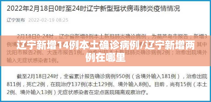 辽宁新增14例本土确诊病例/辽宁新增两例在哪里