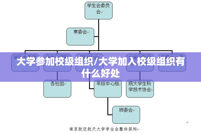大学参加校级组织/大学加入校级组织有什么好处