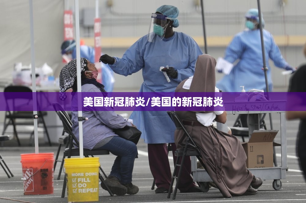 美国新冠肺炎/美国的新冠肺炎