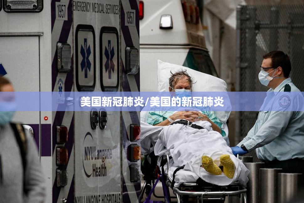 美国新冠肺炎/美国的新冠肺炎
