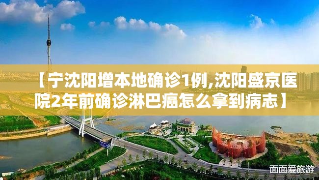 【宁沈阳增本地确诊1例,沈阳盛京医院2年前确诊淋巴癌怎么拿到病志】