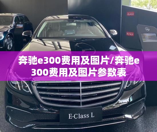 奔驰e300费用及图片/奔驰e300费用及图片参数表