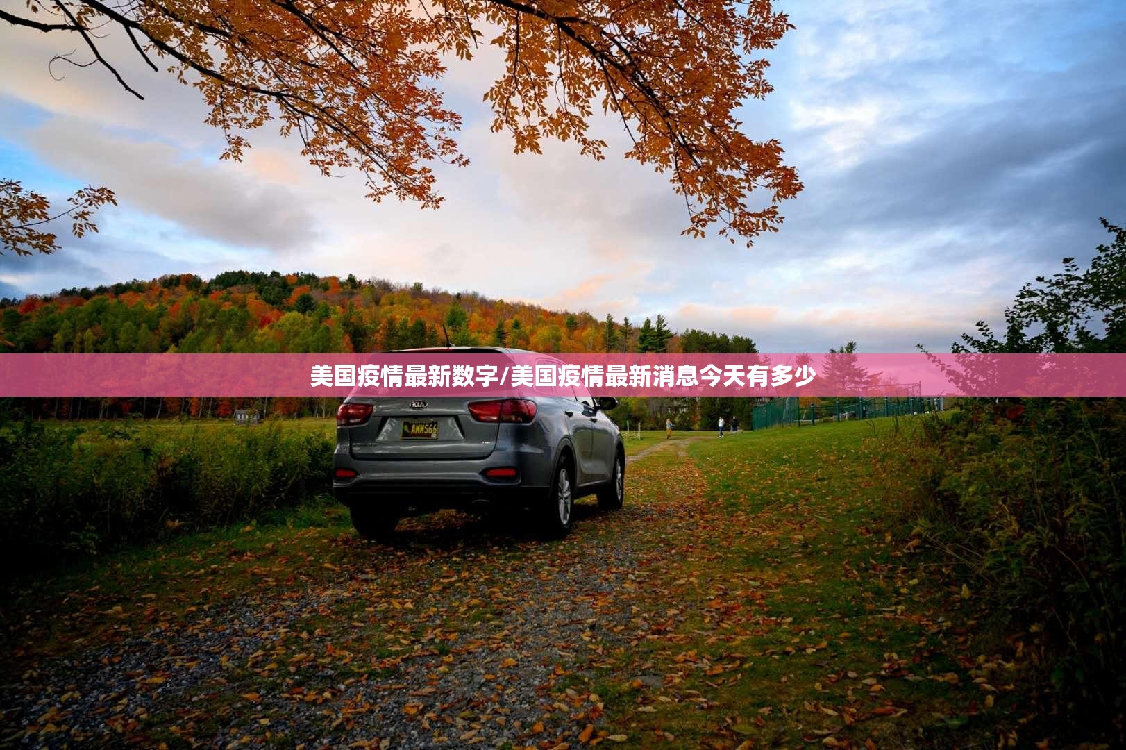 美国疫情最新数字/美国疫情最新消息今天有多少 美国疫情最新数字/美国疫情最新消息今天有多少
