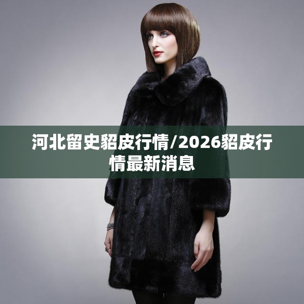 河北留史貂皮行情/2026貂皮行情最新消息