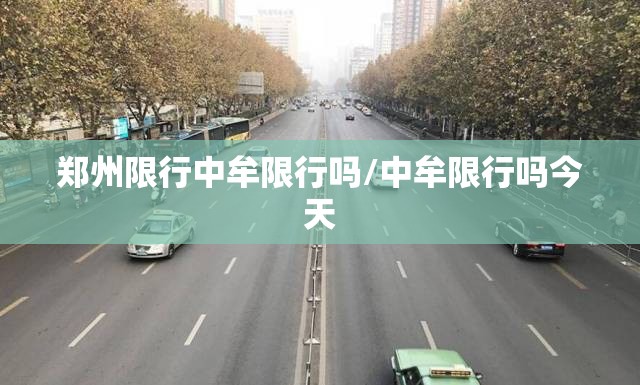 郑州限行中牟限行吗/中牟限行吗今天 郑州限行中牟限行吗/中牟限行吗今天