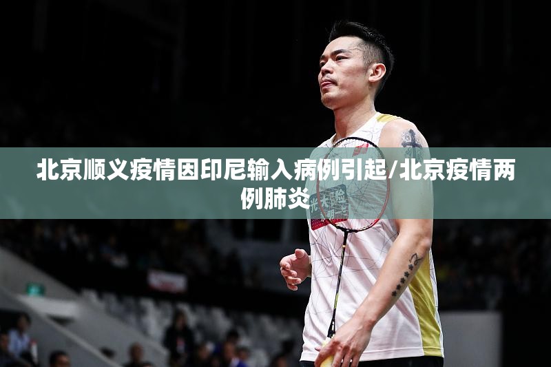 北京顺义疫情因印尼输入病例引起/北京疫情两例肺炎 北京顺义疫情因印尼输入病例引起/北京疫情两例肺炎