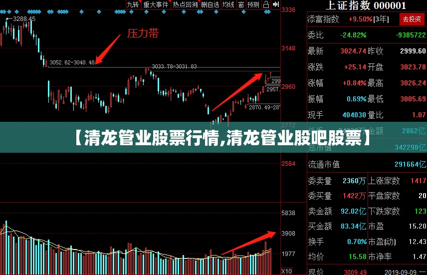 【清龙管业股票行情,清龙管业股吧股票】