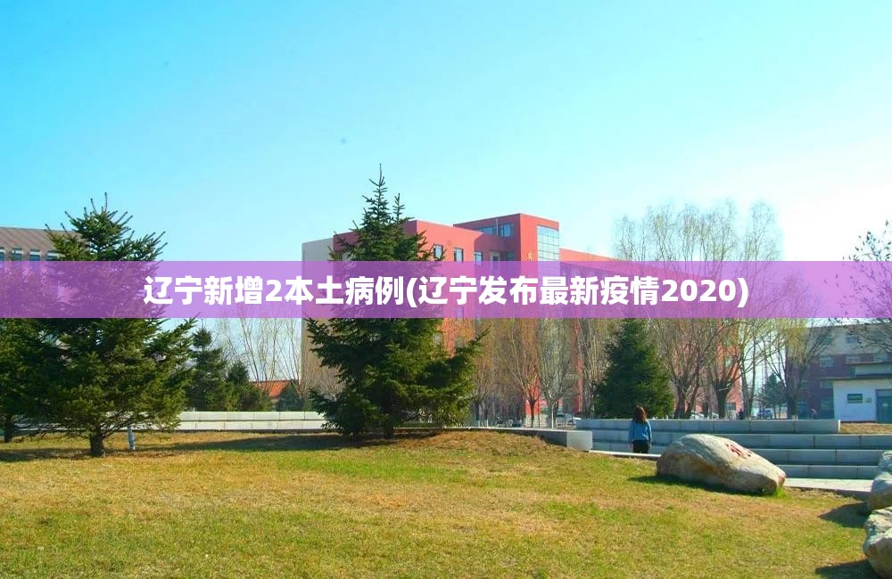 辽宁新增2本土病例(辽宁发布最新疫情2020)
