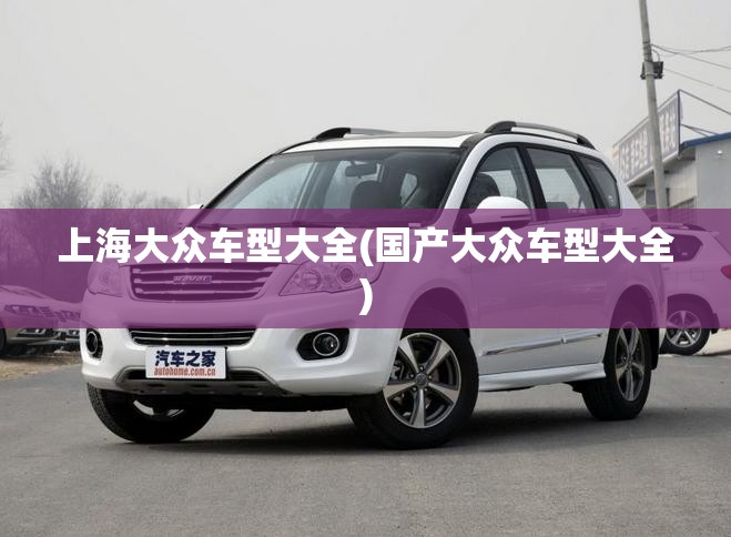 上海大众车型大全(国产大众车型大全)