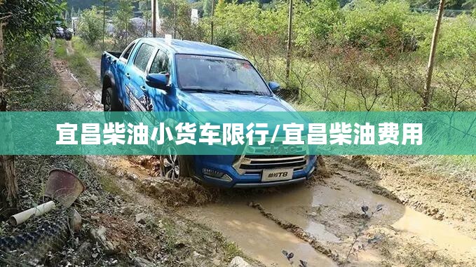 宜昌柴油小货车限行/宜昌柴油费用 宜昌柴油小货车限行/宜昌柴油费用