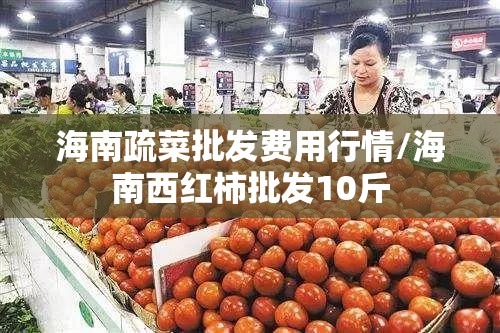 海南疏菜批发费用行情/海南西红柿批发10斤 海南疏菜批发费用行情/海南西红柿批发10斤