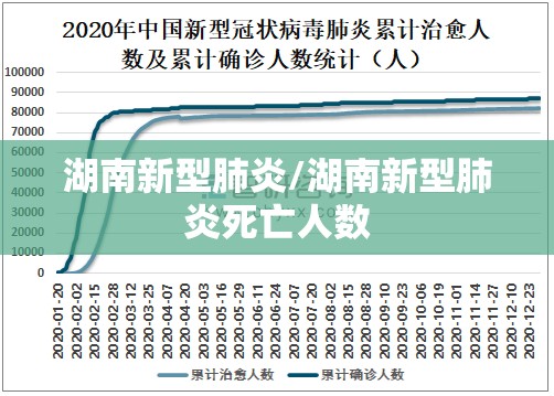 湖南新型肺炎/湖南新型肺炎死亡人数