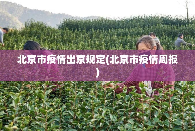 北京市疫情出京规定(北京市疫情周报)