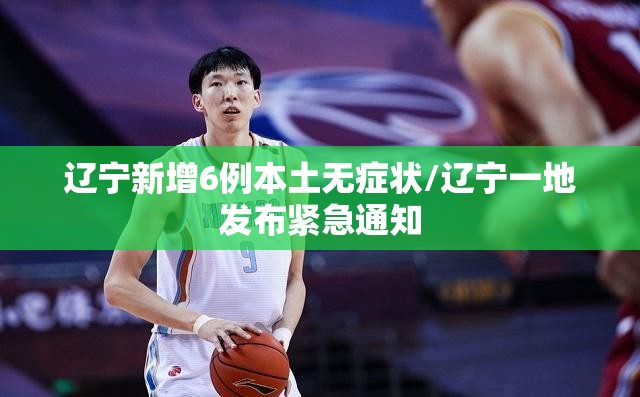 辽宁新增6例本土无症状/辽宁一地发布紧急通知 辽宁新增6例本土无症状/辽宁一地发布紧急通知