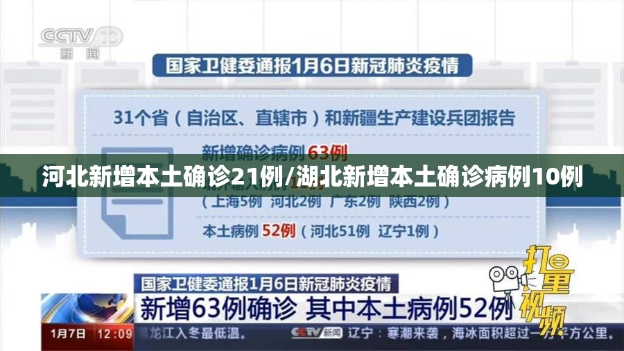 河北新增本土确诊21例/湖北新增本土确诊病例10例 河北新增本土确诊21例/湖北新增本土确诊病例10例