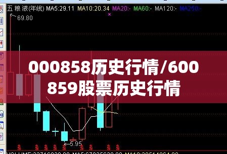 000858历史行情/600859股票历史行情
