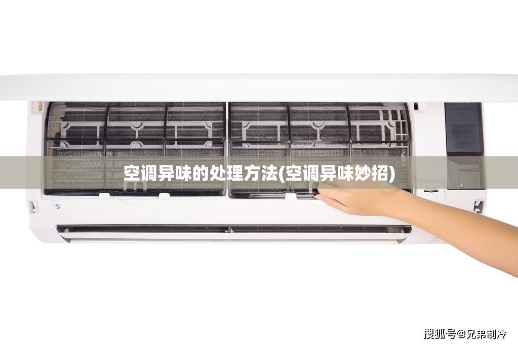 空调异味的处理方法(空调异味妙招) 空调异味的处理方法(空调异味妙招)