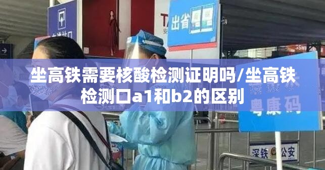 坐高铁需要核酸检测证明吗/坐高铁检测口a1和b2的区别