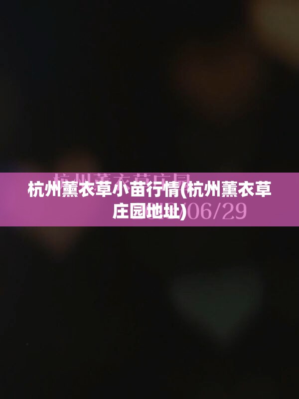 杭州薰衣草小苗行情(杭州薰衣草庄园地址) 杭州薰衣草小苗行情(杭州薰衣草庄园地址)