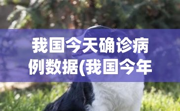 我国今天确诊病例数据(我国今年狂犬病确诊病例有多少)