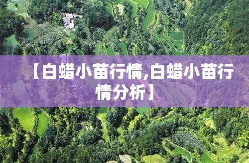【白蜡小苗行情,白蜡小苗行情分析】 【白蜡小苗行情,白蜡小苗行情分析】