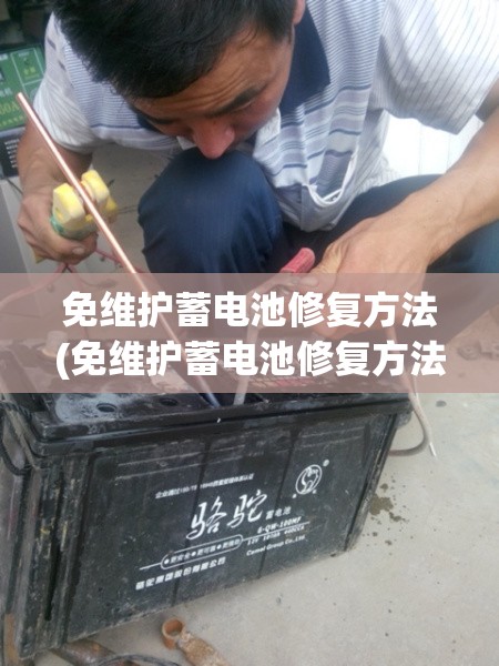 免维护蓄电池修复方法(免维护蓄电池修复方法有哪些)