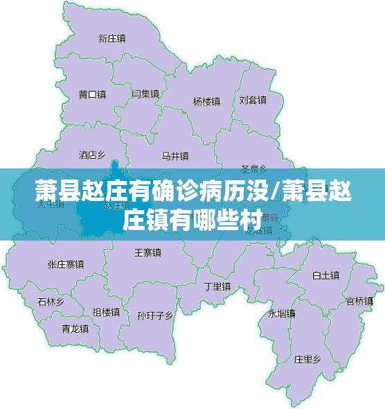萧县赵庄有确诊病历没/萧县赵庄镇有哪些村