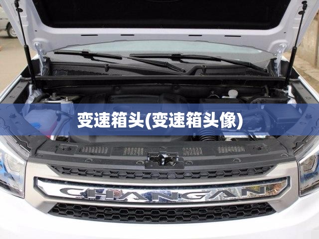 变速箱头(变速箱头像)
