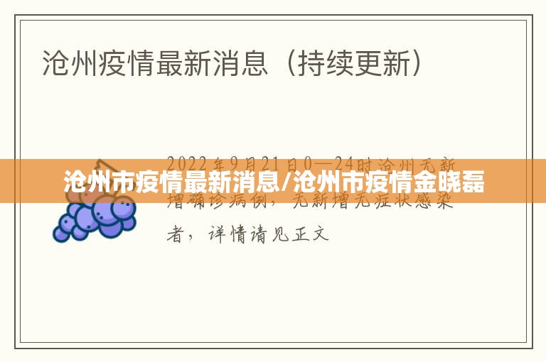 沧州市疫情最新消息/沧州市疫情金晓磊