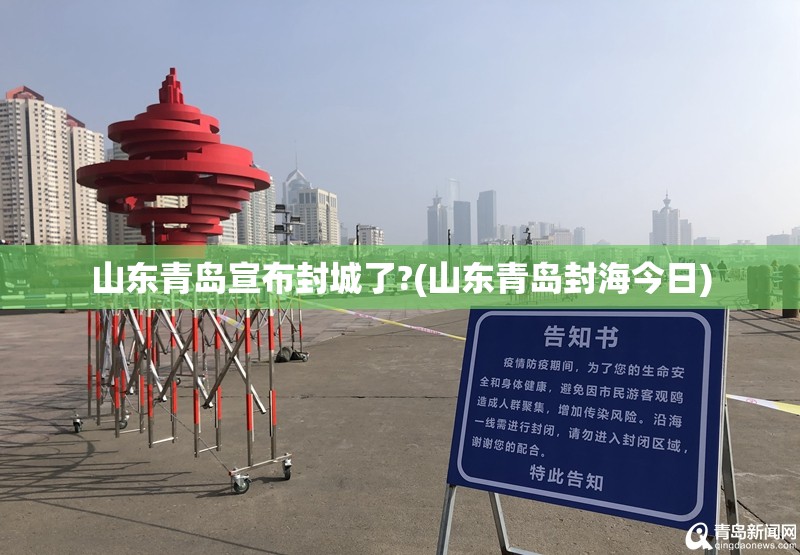 山东青岛宣布封城了?(山东青岛封海今日)