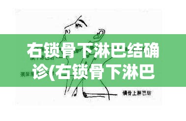右锁骨下淋巴结确诊(右锁骨下淋巴结确诊方法) 右锁骨下淋巴结确诊(右锁骨下淋巴结确诊方法)