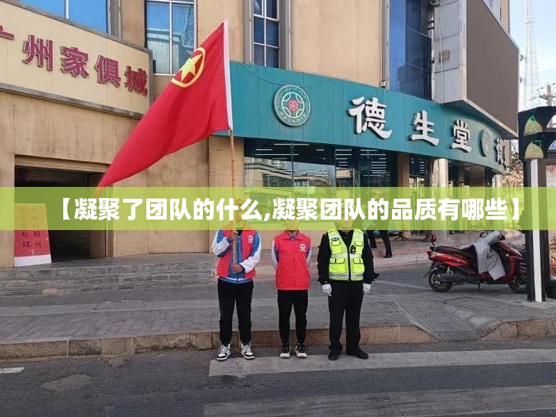【凝聚了团队的什么,凝聚团队的品质有哪些】