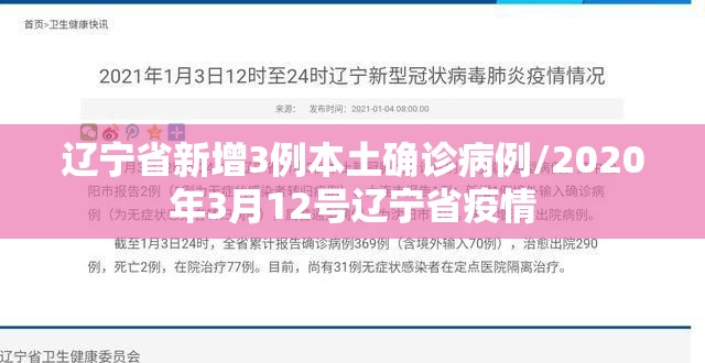 辽宁省新增3例本土确诊病例/2020年3月12号辽宁省疫情 辽宁省新增3例本土确诊病例/2020年3月12号辽宁省疫情
