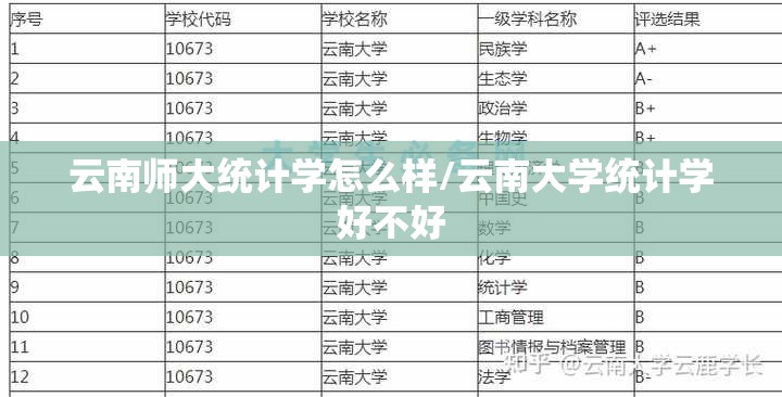 云南师大统计学怎么样/云南大学统计学好不好