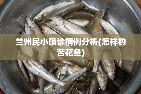 兰州民小确诊病例分析(怎样钓苦花鱼) 兰州民小确诊病例分析(怎样钓苦花鱼)