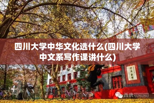 四川大学中华文化选什么(四川大学中文系写作课讲什么) 四川大学中华文化选什么(四川大学中文系写作课讲什么)