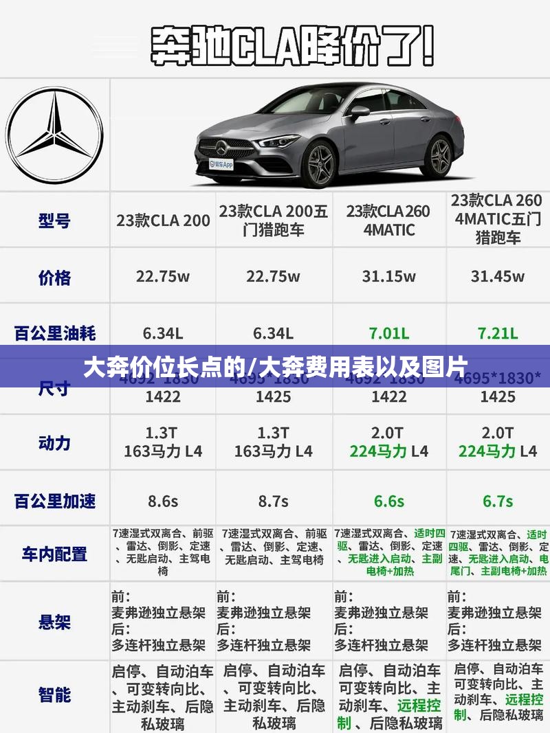大奔价位长点的/大奔费用表以及图片