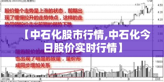 【中石化股市行情,中石化今日股价实时行情】