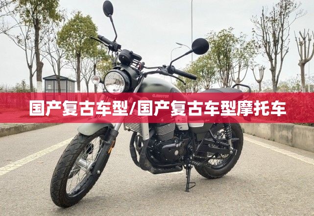 国产复古车型/国产复古车型摩托车