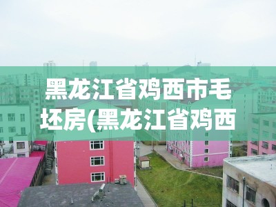 黑龙江省鸡西市毛坯房(黑龙江省鸡西市房价)