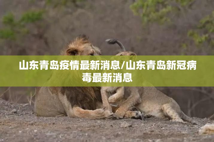 山东青岛疫情最新消息/山东青岛新冠病毒最新消息 山东青岛疫情最新消息/山东青岛新冠病毒最新消息