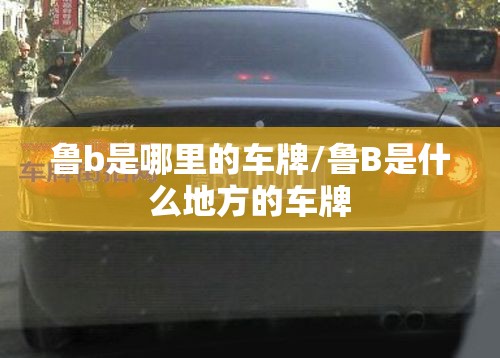 鲁b是哪里的车牌/鲁B是什么地方的车牌