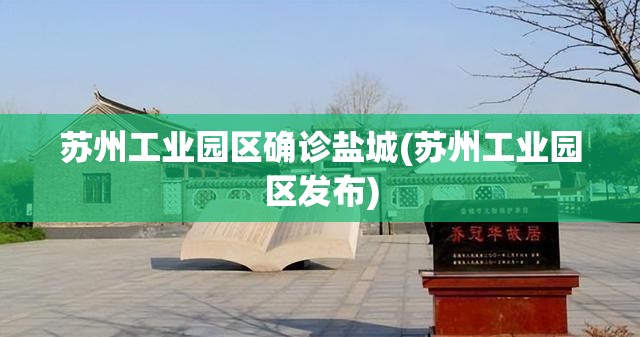 苏州工业园区确诊盐城(苏州工业园区发布)