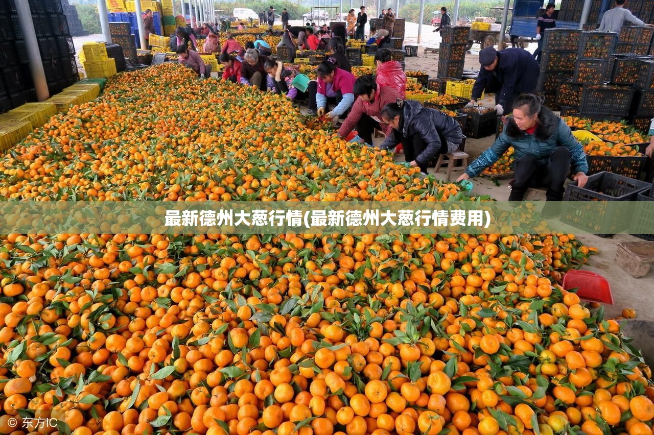最新德州大葱行情(最新德州大葱行情费用) 最新德州大葱行情(最新德州大葱行情费用)
