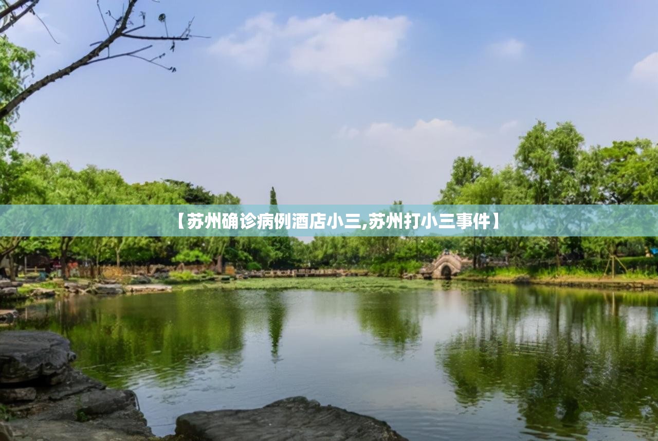 【苏州确诊病例酒店小三,苏州打小三事件】