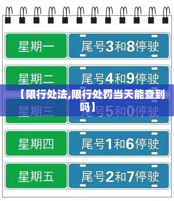 【限行处法,限行处罚当天能查到吗】