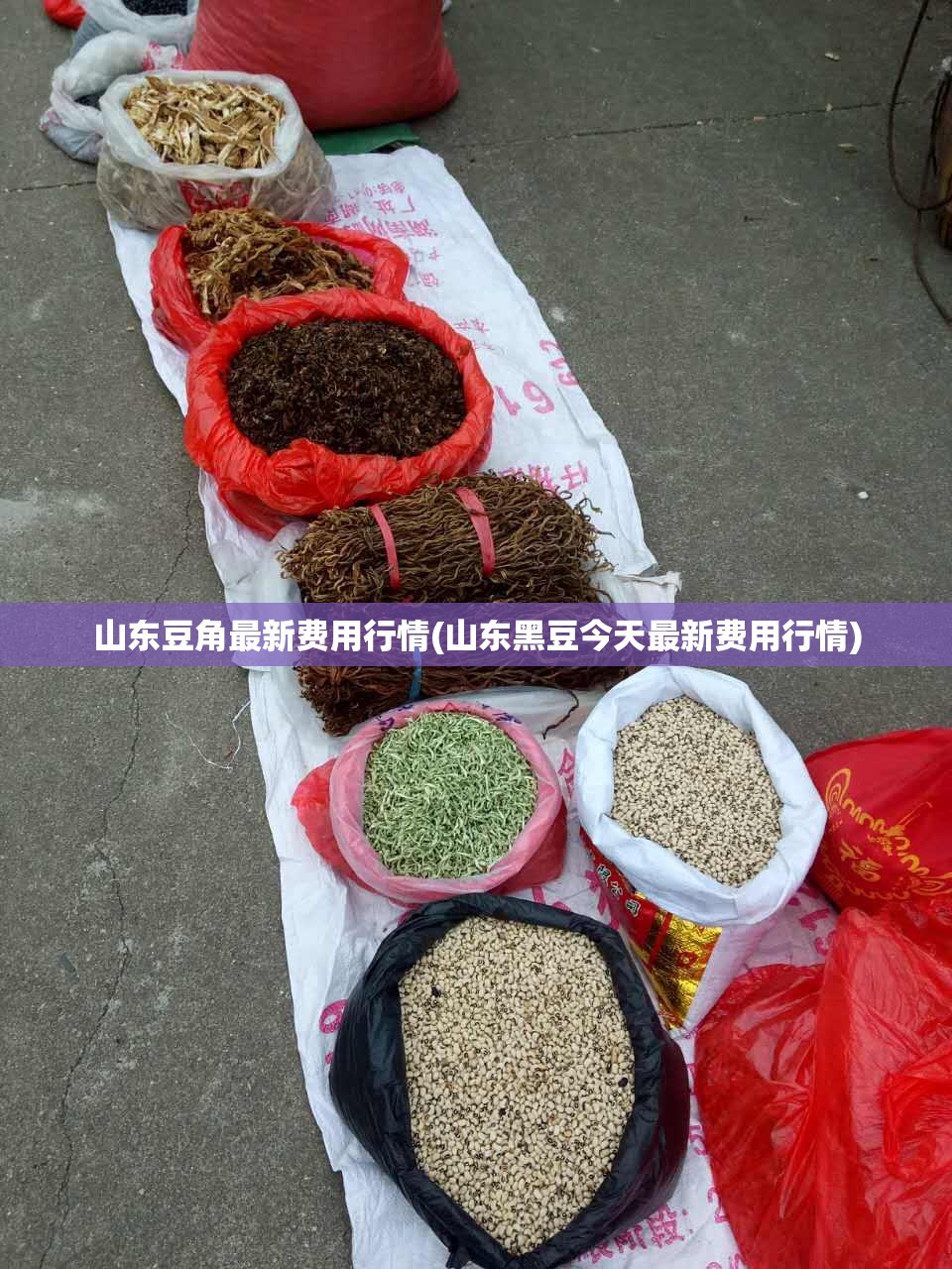 山东豆角最新费用行情(山东黑豆今天最新费用行情)